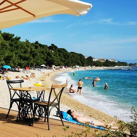 Dalma בית הארחה טוצפי