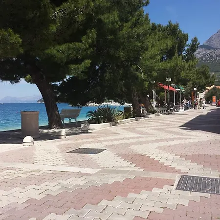 בית הארחה Dalma טוצפי