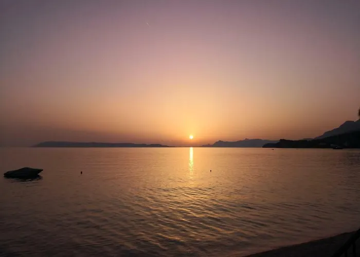 Dalma 3*